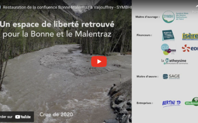 Septembre 2020 : travaux de restauration de la confluence de la Bonne et du Malentraz
