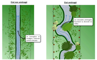 Vercors : les études de faisabilité du projet de réhabilitation des rivières Bourne et Méaudret achevées