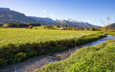 Deux projets de restauration écologique des rivières Bourne et Méaudret