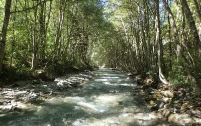 La Bonne Amont labellisée  “Rivière en Bon État »