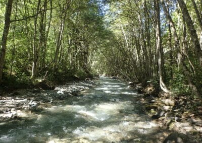 La Bonne Amont labellisée  “Rivière en Bon État »