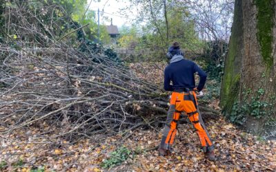 Travaux de gestion de la végétation au quai Jongkind : retour sur des travaux en plusieurs phases