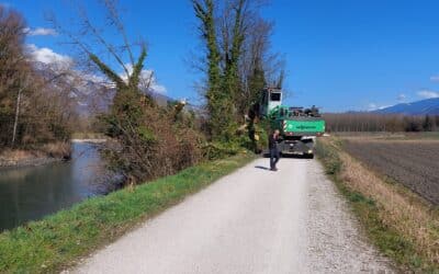 Travaux de sécurisation des digues de l&rsquo;Isère – Suppression d&rsquo;arbres dangereux