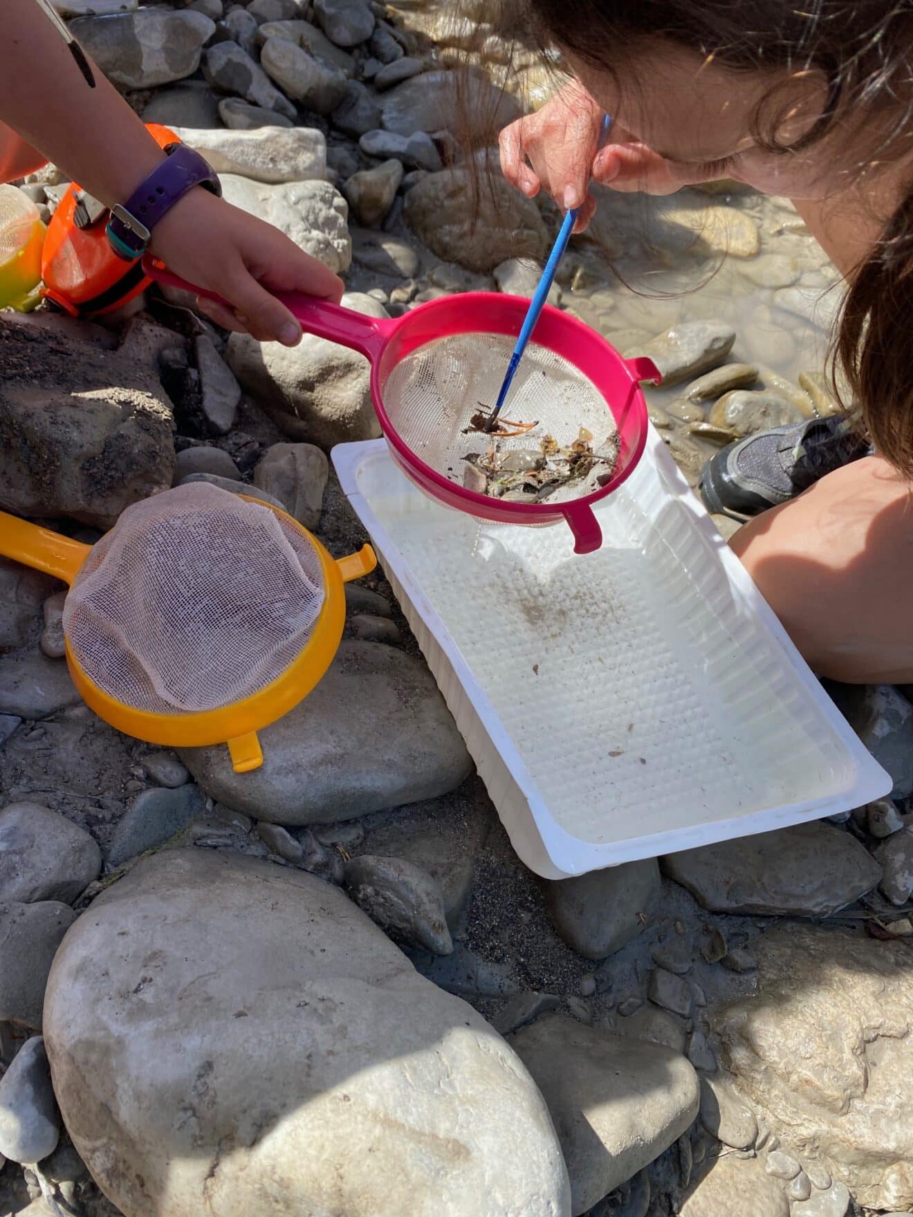 ＂Maîtresse, j'ai trouvé un truc dans l'eau !＂