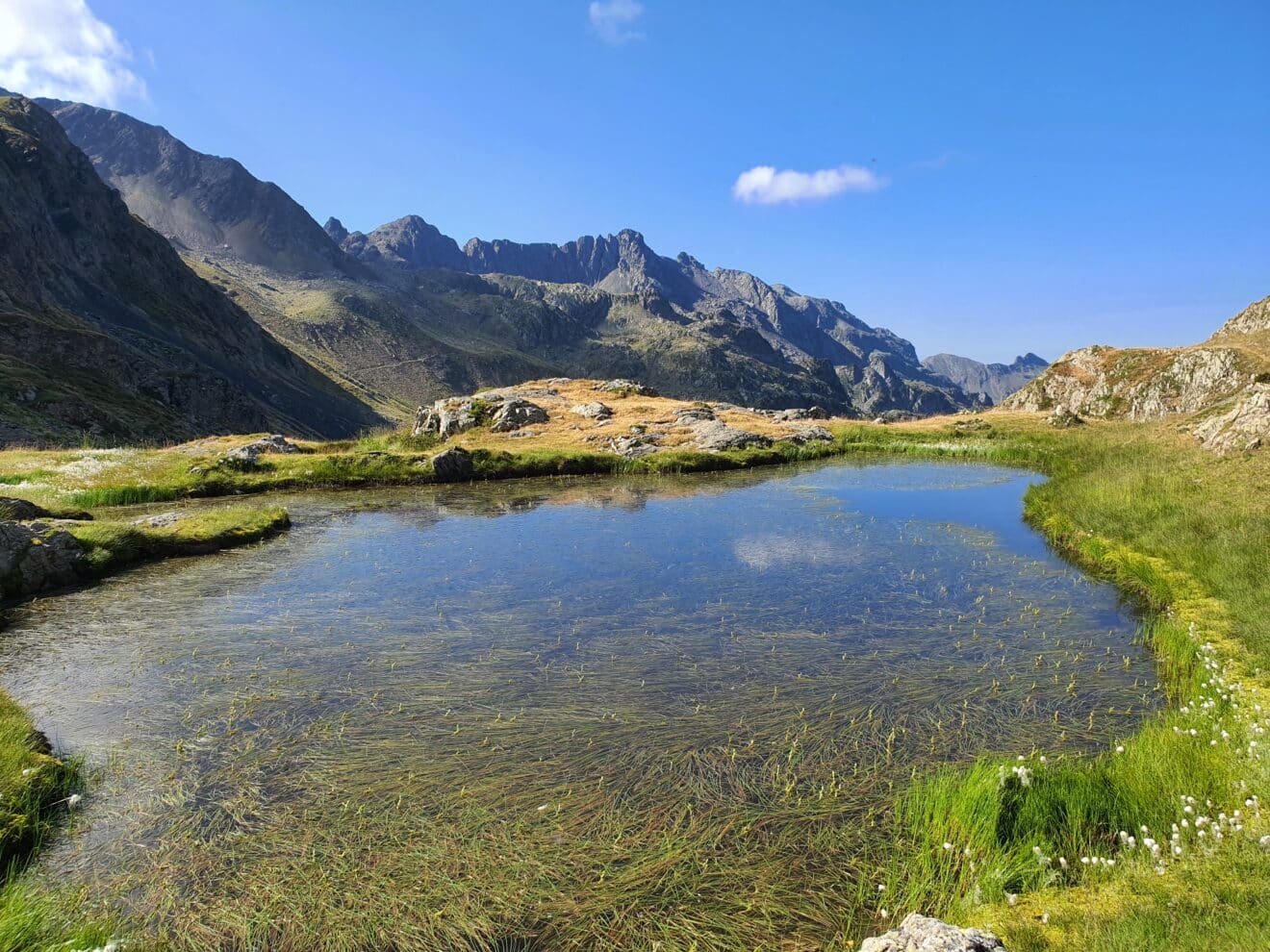 Un Plan de Gestion Stratégique des Zones Humides sur Belledonne (PGSZH)