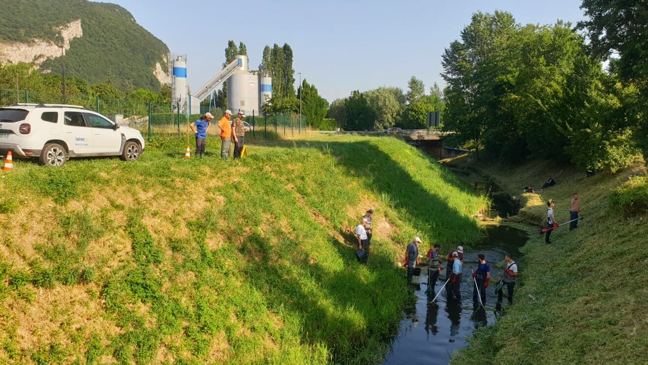 Pêche électrique d’inventaire piscicole sur le canal du Palluel et ses affluents : plongée dans un inventaire piscicole grandeur nature